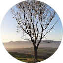 Cesty Necesty profile picture